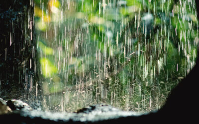 Right As Rain